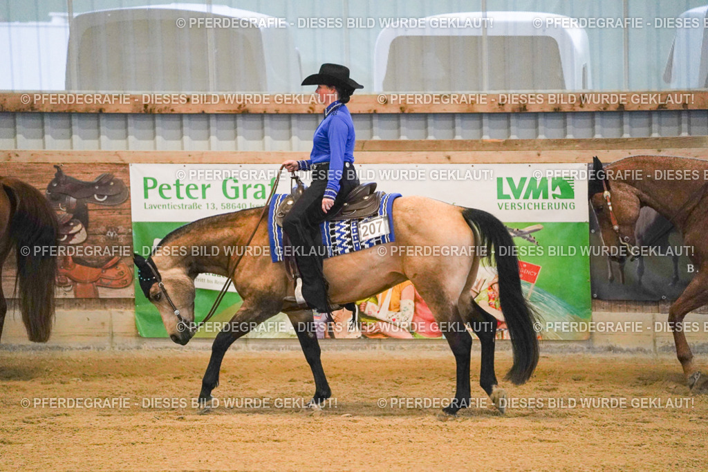 DSC08584 | Pferdegrafie