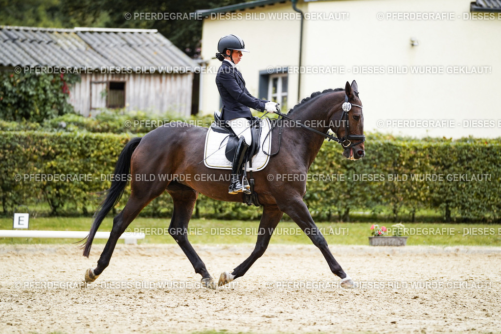 DSC00911 | Pferdegrafie