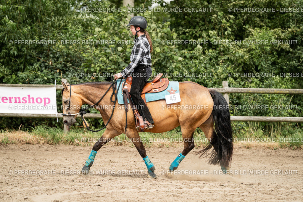 DSC01419 | Pferdegrafie