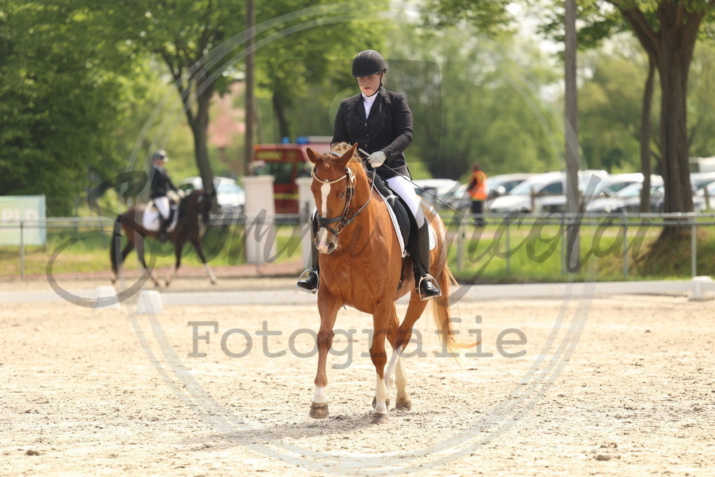 994A6513 | sabrinanicolaifotografie - Realisiert mit Pictrs.com