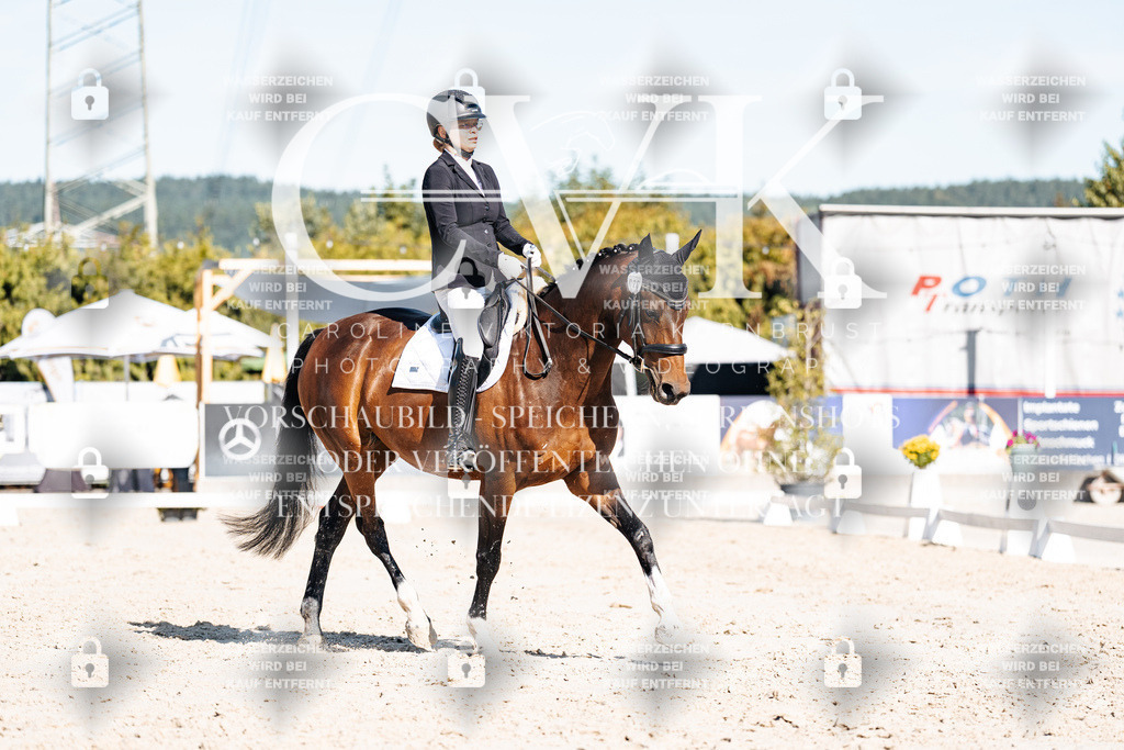 CK908002 | Turnierfotografie Pferdefotografie Trier Rheinland-Pfalz Pferdesport Reitsport Tierfotografie Sportfotografie Pferdevideo Pferdevideografie Equestrianvideography equestrianphotography  - Realisiert mit Pictrs.com