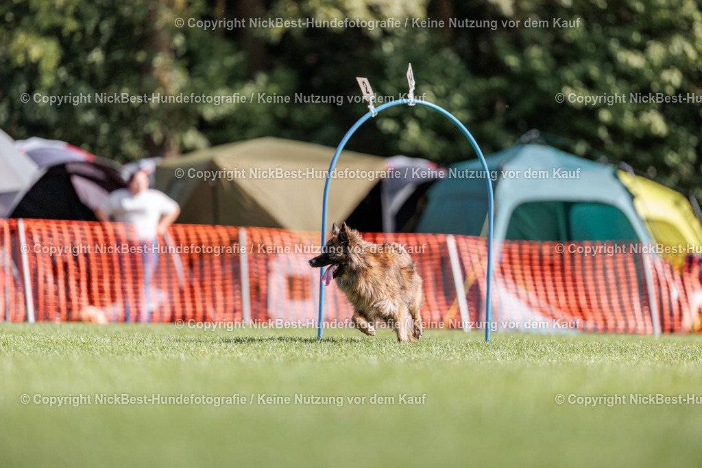 BSP Hoopers-H1-2-2026-Nickbest-Hundefotografie-TuS Komet Arsten e.V.-0130 | Dein Hund! Dein Moment! Deine Erinnerungen! Hundefotografie in Bremen Blumenthal. Ich fange die besonderen Momente deines Vierbeiners ein – ob Indoor mit Blitzanlage oder in der freien Natur. Sicher dir dein Moment und dein Termin für eure Erinnerungen.