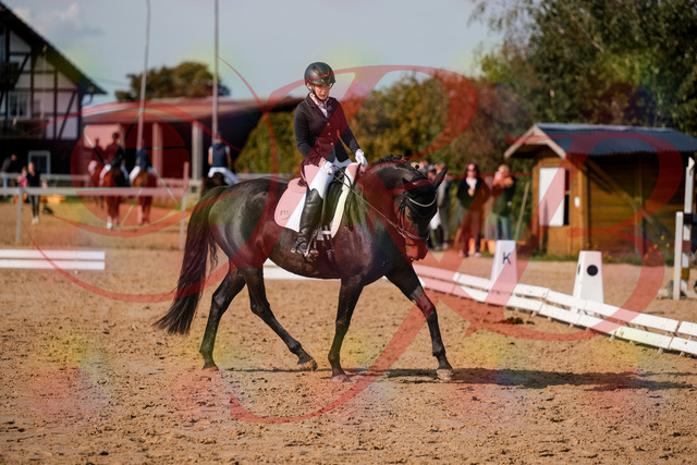 2026_10_03_Siefer-Hof_121707_Z63_40776333 | Professionelle Reitsport-, Turnier- und Eventfotografie von Robert Broda. Galerien mit ausgewählten und bearbeiteten Bildern direkt online ansehen und bestellen.