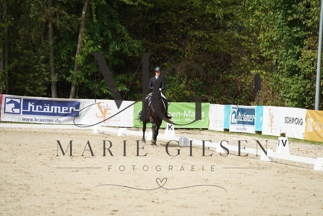VAN02727 | Marie Giesen Fotografie - Realisiert mit Pictrs.com