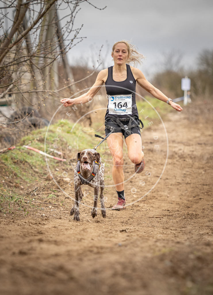 DV3A1790 | Hundefotografie, Tierfotograf, Pfotenfotografie, Fotoshooting Hund, Hunde Portrait, Hundesport, Hundeportraits, Heideshooting, Hunde, Sportfotograf, Hundefotograf, Turnierhundsport, THS,  - Realisiert mit Pictrs.com