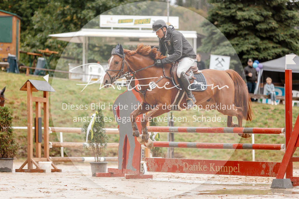 3I6A5500 | Stimmungsvolle Portraits und Reitsportfotografie im Ruhrgebiet und im Münsterland.

Pferdefotografie, Hundefotografie, Tierfotografie, Reportagen, Portraits von Tier und Mensch, Turnierfotografie in Bochum, Recklinghausen, Marl, Haltern am See, Dülmen.. - Realisiert mit Pictrs.com