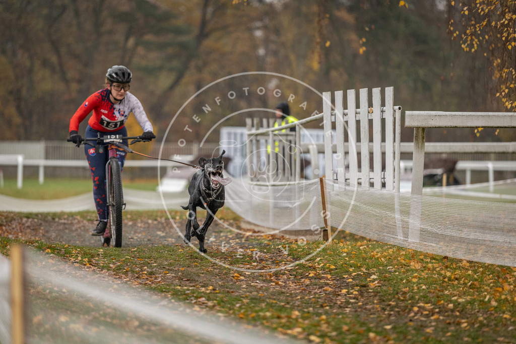 CaniXpix_DV3A7830 | Hundefotografie, Tierfotograf, Pfotenfotografie, Fotoshooting Hund, Hunde Portrait, Hundesport, Hundeportraits, Heideshooting, Hunde, Sportfotograf, Hundefotograf, Turnierhundsport, THS,  - Realisiert mit Pictrs.com