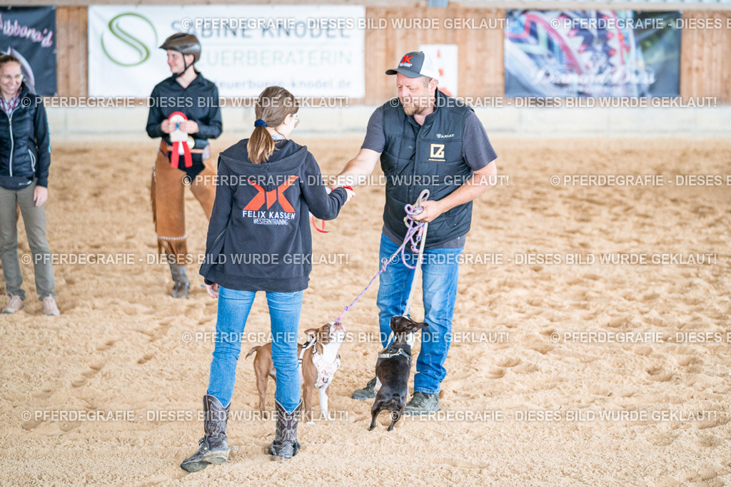 DSC09575 | Pferdegrafie