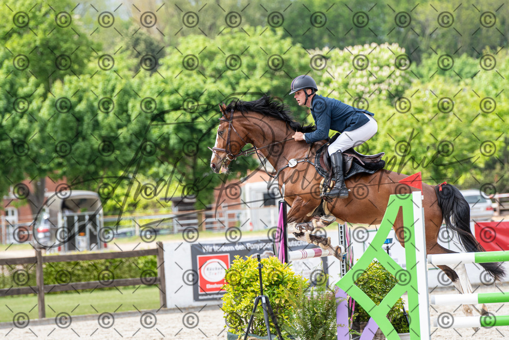 KPT_0187 | andre_photographic