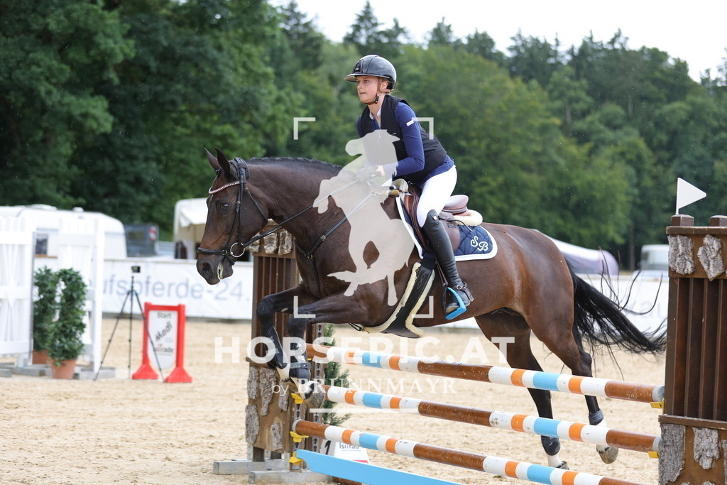 0P6A4738 | Willkommen bei Brunnmayr - Design & Fotografie – Ihrem Spezialisten für Reitturniere und Pferdeveranstaltungen in Oberösterreich, Salzburg und Bayern! Seit über 17 Jahren sind wir leidenschaftlich dabei.