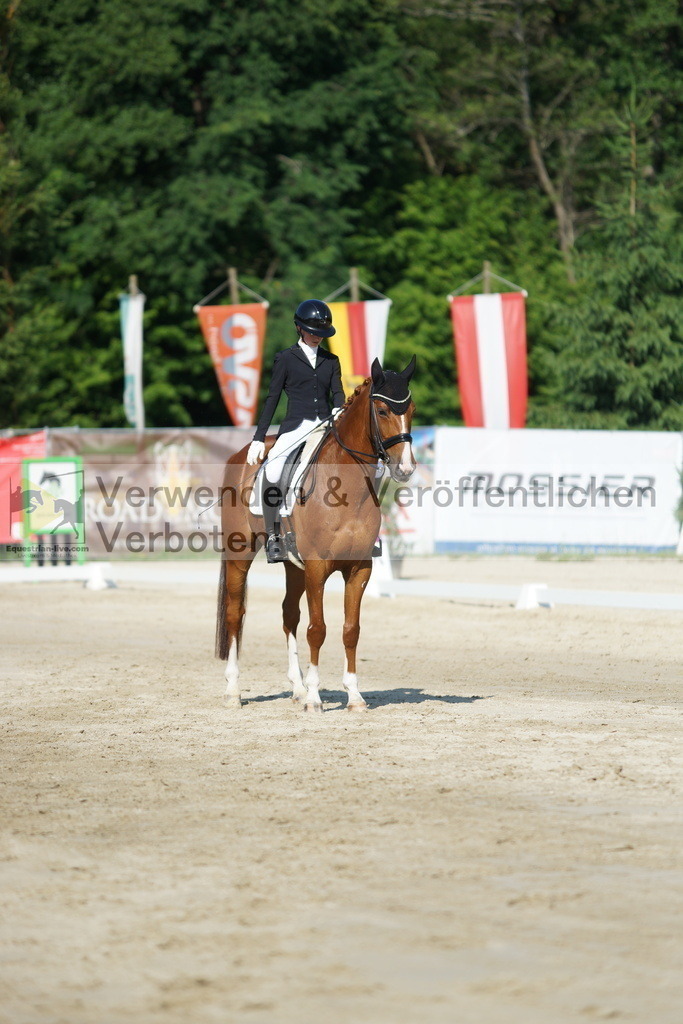 DSC02874 | equestrian-live-com