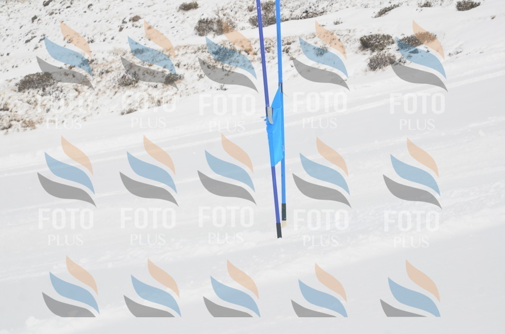 A5265 | holidayphoto