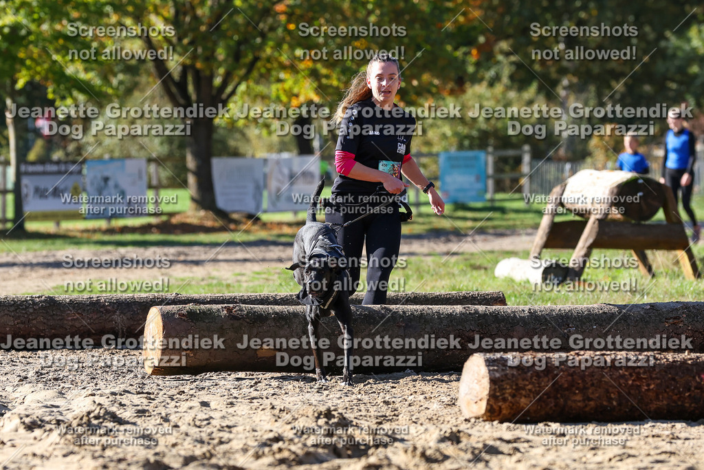 Dog Paparazzi - Strongdog 10-25-2879 | Dog Paparazzi Jeanette Grottendiek Fotografie & Videografie - Realisiert mit Pictrs.com