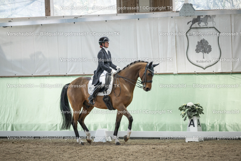 _D5A6201 | Emotionale Pferde- & People-Fotografie rund um Heidelberg, Leimen & Umgebung. Natürliche Fotos von Pferd, Mensch & Familie. Jetzt Termin sichern!