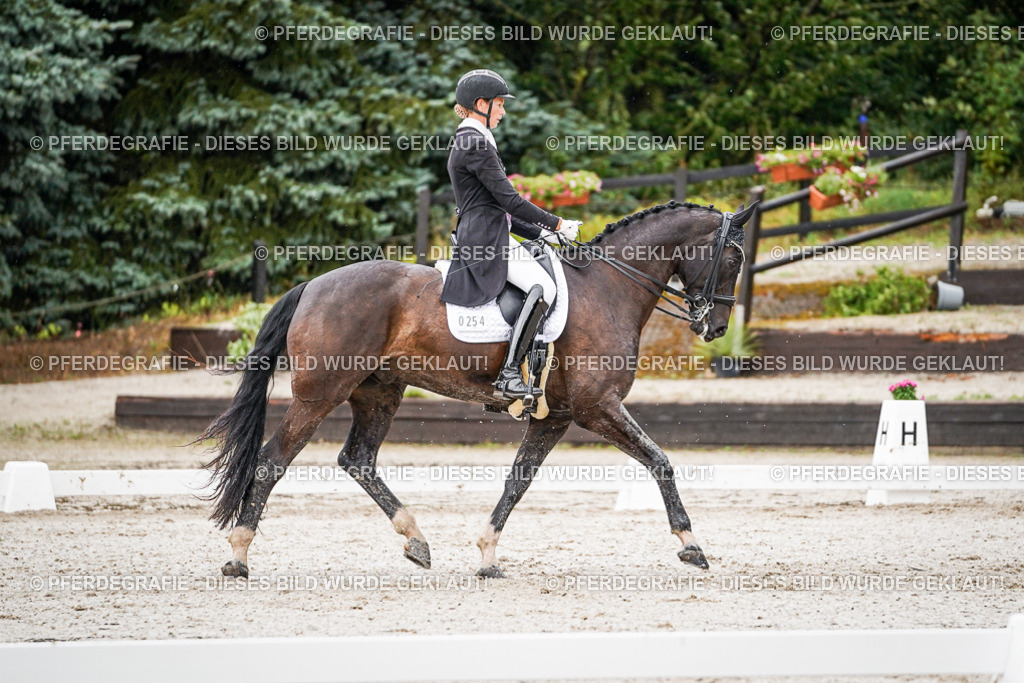 DSC08823 | Pferdegrafie