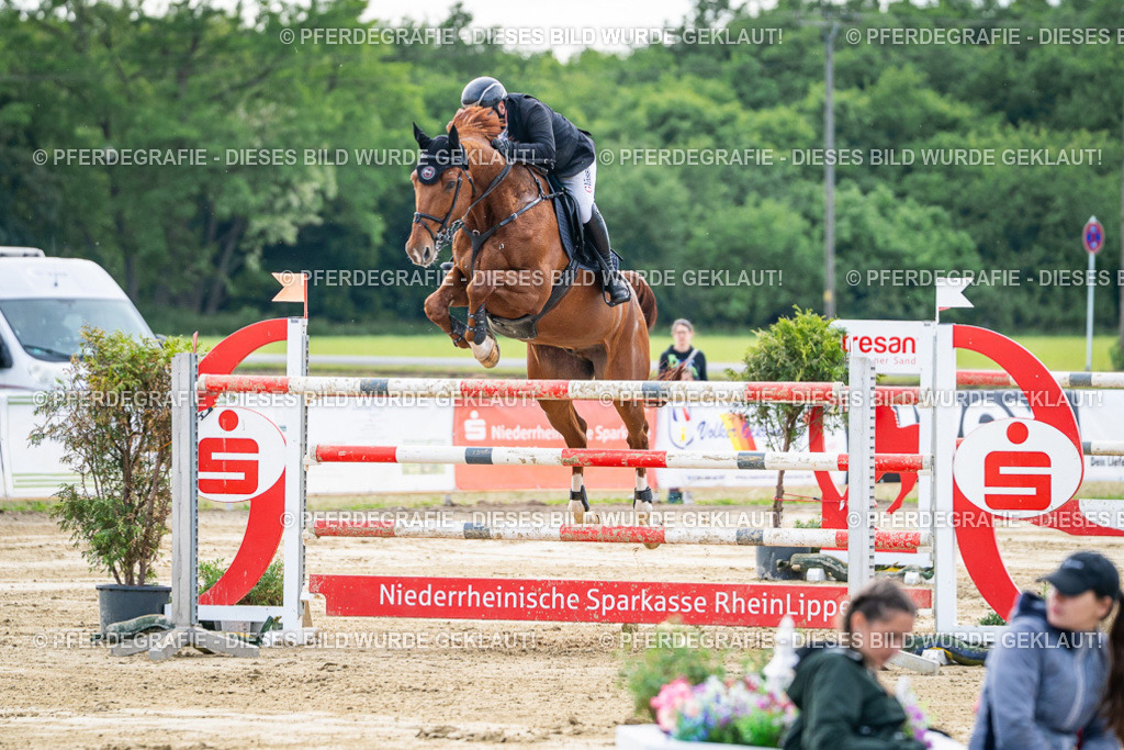 DSC07382 | Pferdegrafie