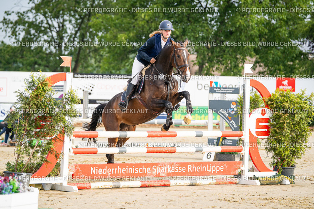 DSC08288 | Pferdegrafie