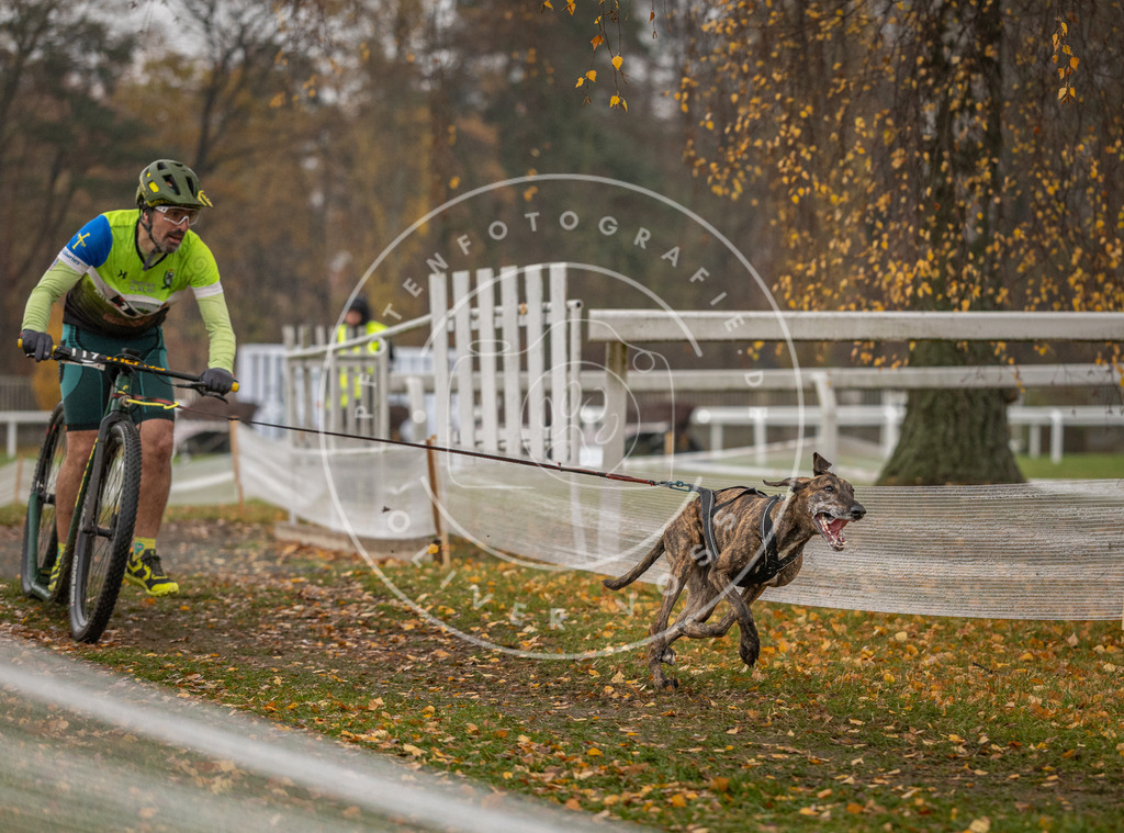 CaniXpix_DV3A8149 | Hundefotografie, Tierfotograf, Pfotenfotografie, Fotoshooting Hund, Hunde Portrait, Hundesport, Hundeportraits, Heideshooting, Hunde, Sportfotograf, Hundefotograf, Turnierhundsport, THS,  - Realisiert mit Pictrs.com