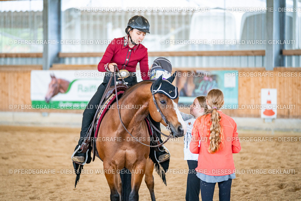 DSC02764 | Pferdegrafie