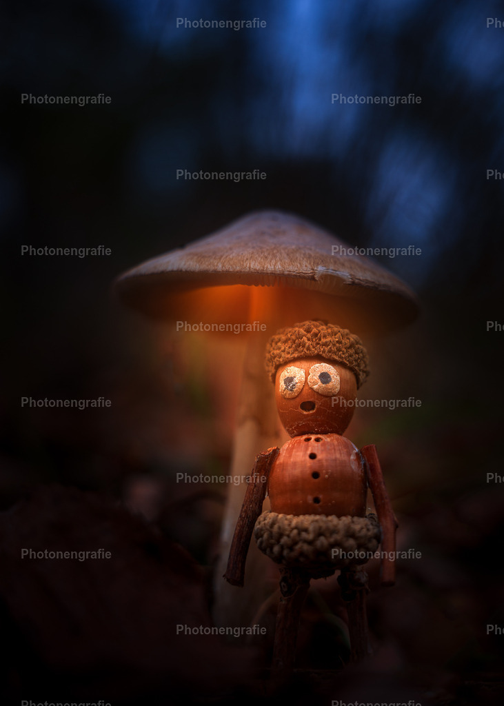 Manni und der leuchtende Pilz | Photonengrafie´s Shop - Realisiert mit Pictrs.com