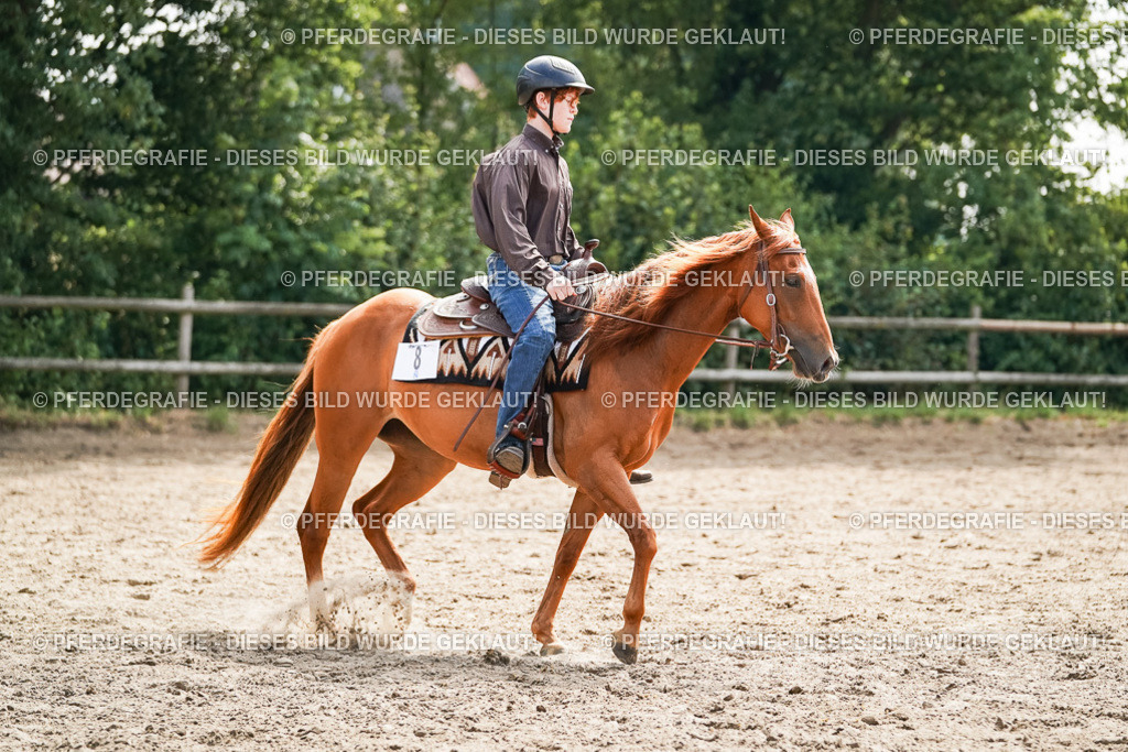 DSC04816 | Pferdegrafie