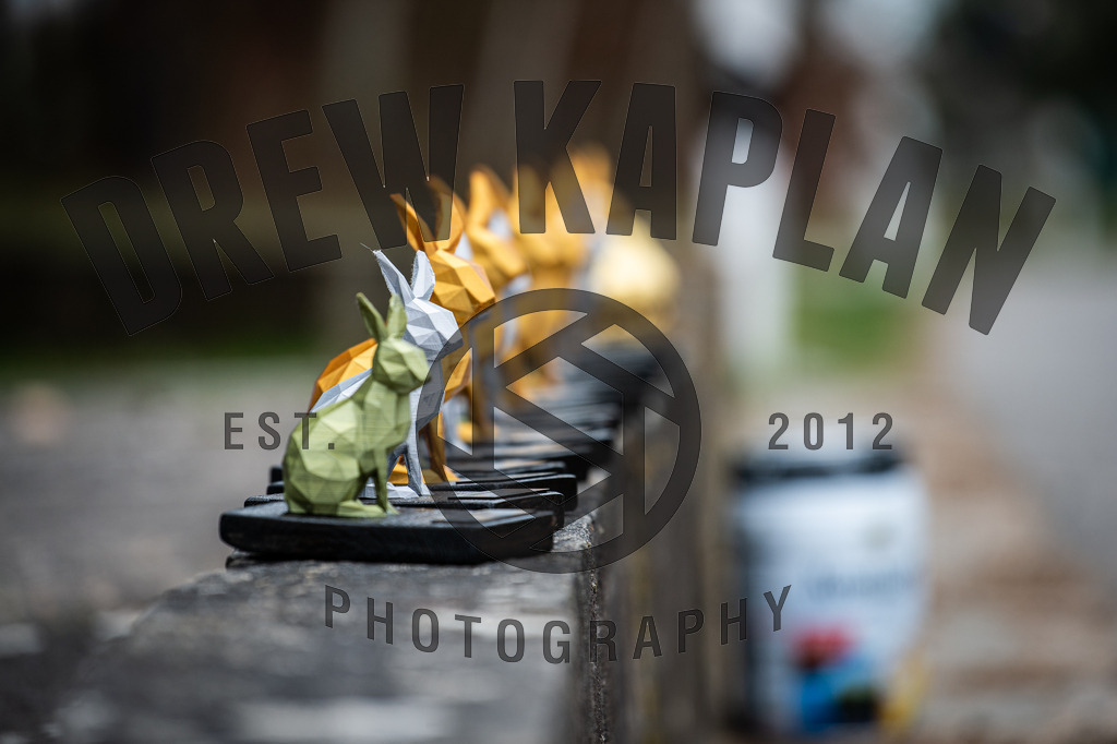 DKP-6191 | Drew Kaplan Photography