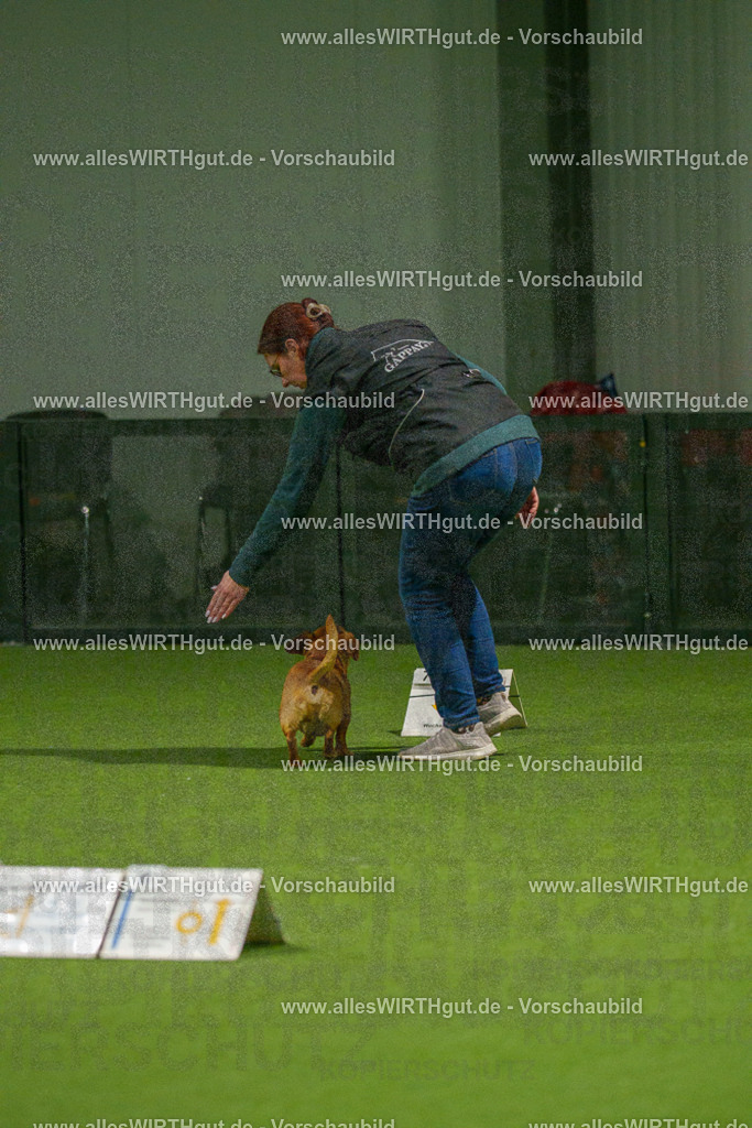 7R508624 | Professionelle Tierfotografie in Mönchengladbach von Daniel Wirth (allesWIRTHgut). Liebevolle & natürliche Bilder von Hunden & Katzen für unvergessliche Erinnerungen.