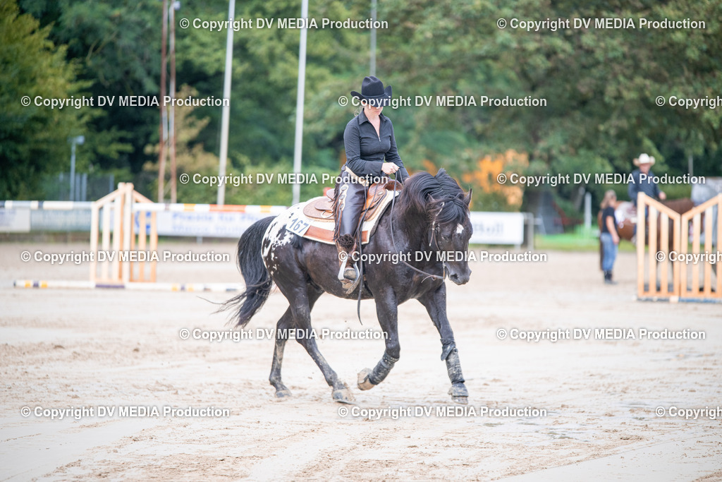 ZS2_4413 | dv-media-shop - Realisiert mit Pictrs.com