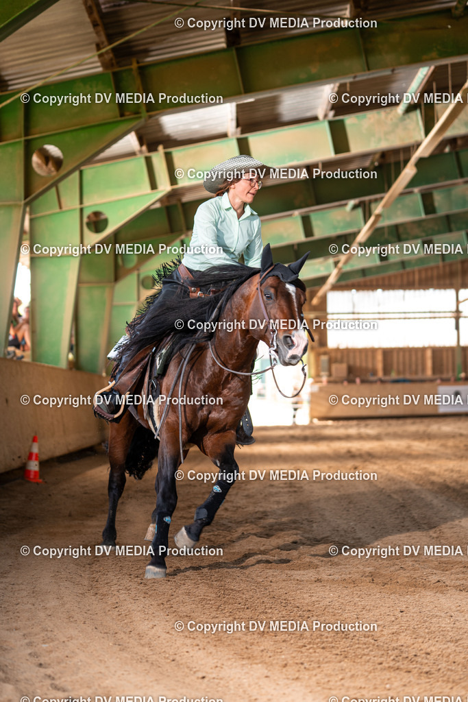 Balingen Tag 2-1427 | dv-media-shop - Realisiert mit Pictrs.com