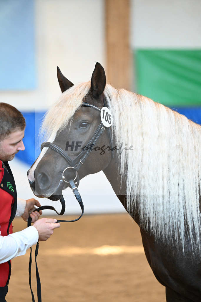 Kat-Nr. 105 Eisrose_Kuri_53220749 | hf-fotografie - Realizzato con Pictrs.com