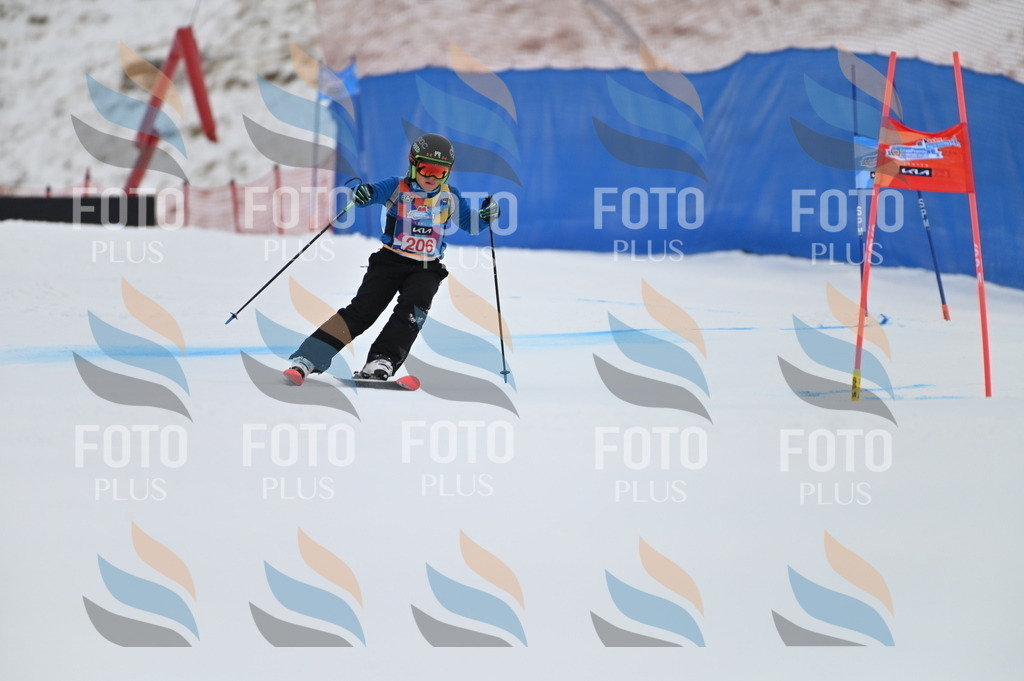 BGV_2147 | holidayphoto