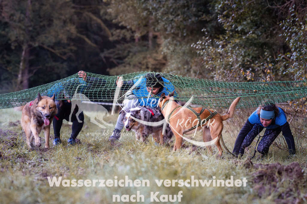 0823_ZZ90220 | kk-dogfotos