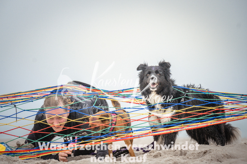 1102_ZZ96586 | kk-dogfotos