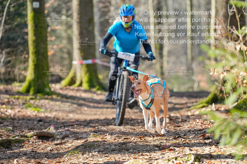 Bike_So-73 | stephaniefillaphotographie - Realisiert mit Pictrs.com