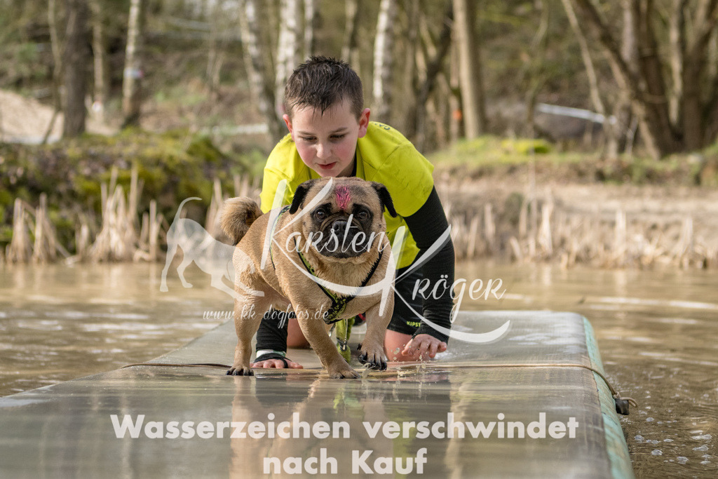 1006_ZZ92511 | kk-dogfotos