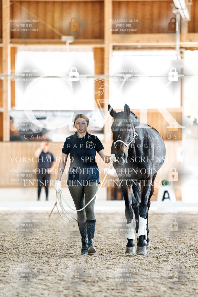 CK908055 | Turnierfotografie Pferdefotografie Trier Rheinland-Pfalz Pferdesport Reitsport Tierfotografie Sportfotografie Pferdevideo Pferdevideografie Equestrianvideography equestrianphotography  - Realisiert mit Pictrs.com