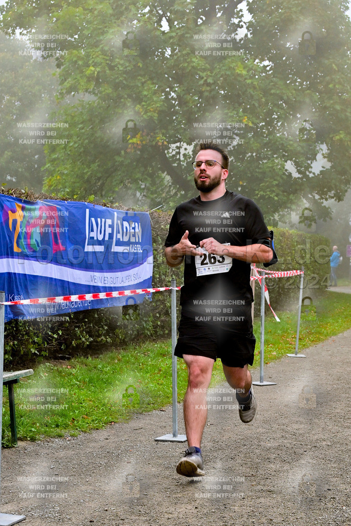 Z8N_2129 | la-psv - Realisiert mit Pictrs.com