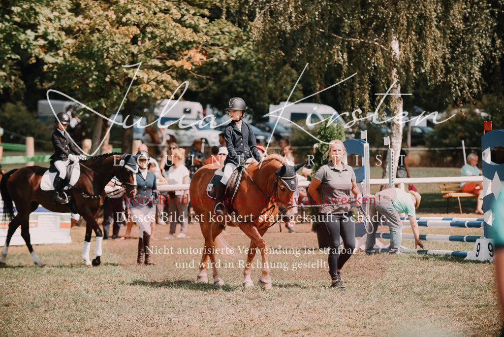 DSC_6067 | Pferde- und Turnierfotografie in Westsachsen. Pferdeportraits, Auftragszeichnungen und intuitive Kunst.