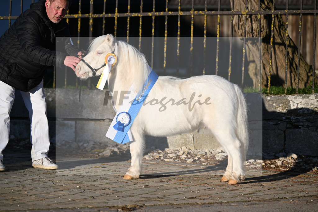 Kat-Nr. 14 Elmhorst Irish Cream v. Elmhorst Irish Coffee_Elmer_49250888 | hf-fotografie - Realisiert mit Pictrs.com