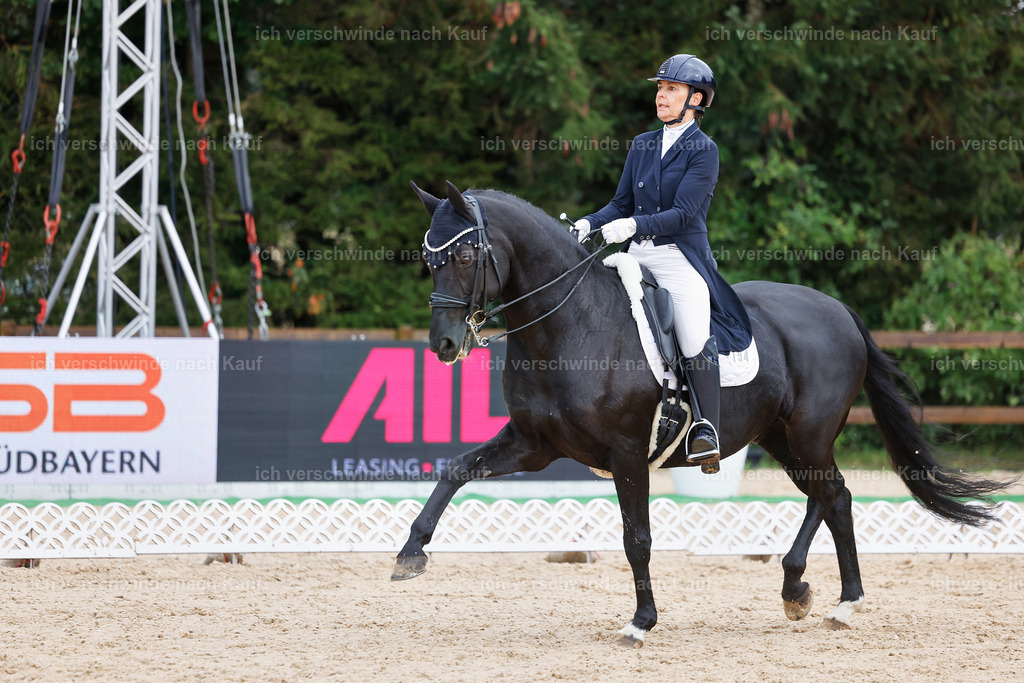 07-194-DRESSUR  S___  -StoibPH-5002 | working equitationturnier fotograf videograf stoibphotography marixx film working equitation deutschland reitsport turnierfotografie eventfotografie equestrian events