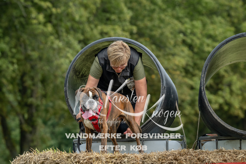 1147_ZZ90490 | kk-dogfotos