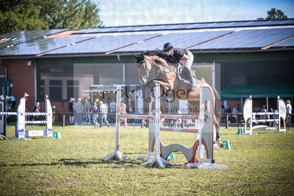 DOS_0123 | Entdecke hochwertige Reitturnierfotos von Foto Oger. Professionell, emotional und authentisch – jetzt Lieblingsmomente im Shop bestellen.Deutschlandweite Turnierfotografie. - Realisiert mit Pictrs.com