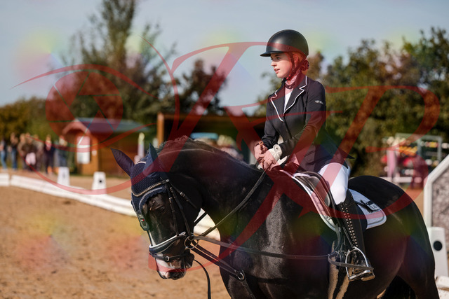 2026_10_03_Siefer-Hof_121715_Z63_41286384 | Professionelle Reitsport-, Turnier- und Eventfotografie von Robert Broda. Galerien mit ausgewählten und bearbeiteten Bildern direkt online ansehen und bestellen.