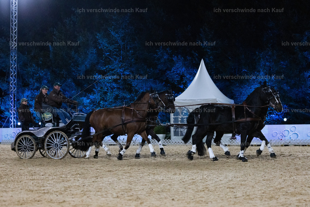 FHClassics-269 | working equitationturnier fotograf videograf stoibphotography marixx film working equitation deutschland reitsport turnierfotografie eventfotografie equestrian events