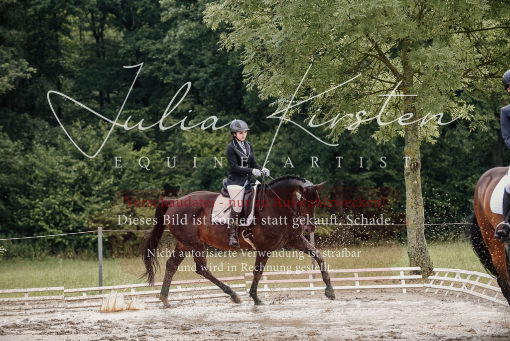 DSC_8661 | Pferde- und Turnierfotografie in Westsachsen. Pferdeportraits, Auftragszeichnungen und intuitive Kunst.