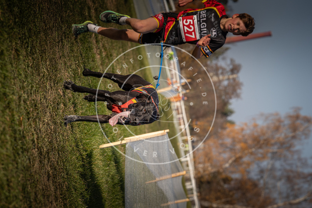 CaniXpix_0L8A8755 | Hundefotografie, Tierfotograf, Pfotenfotografie, Fotoshooting Hund, Hunde Portrait, Hundesport, Hundeportraits, Heideshooting, Hunde, Sportfotograf, Hundefotograf, Turnierhundsport, THS,  - Realisiert mit Pictrs.com