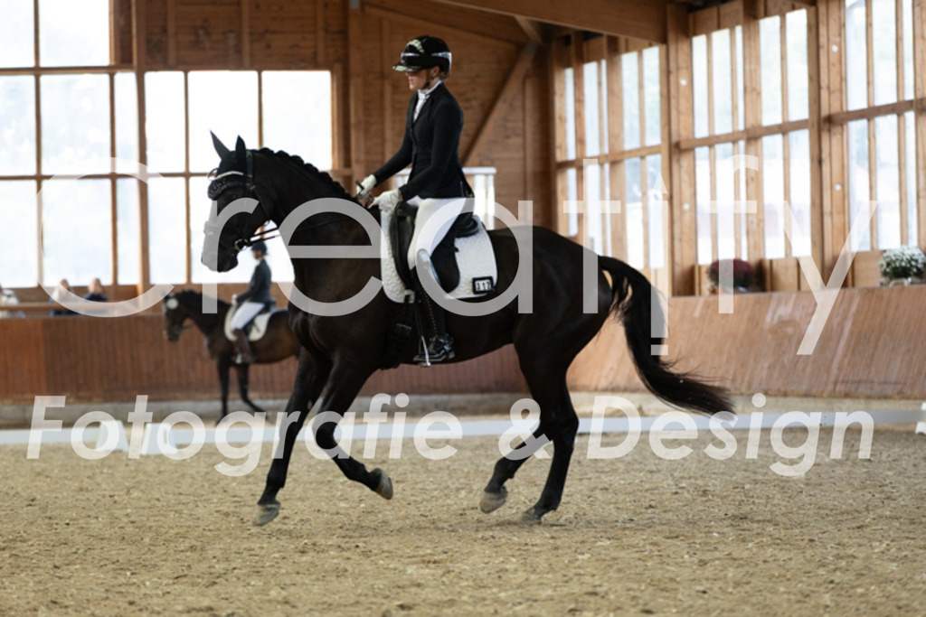 IMG_5642 | Creatify Fotografie