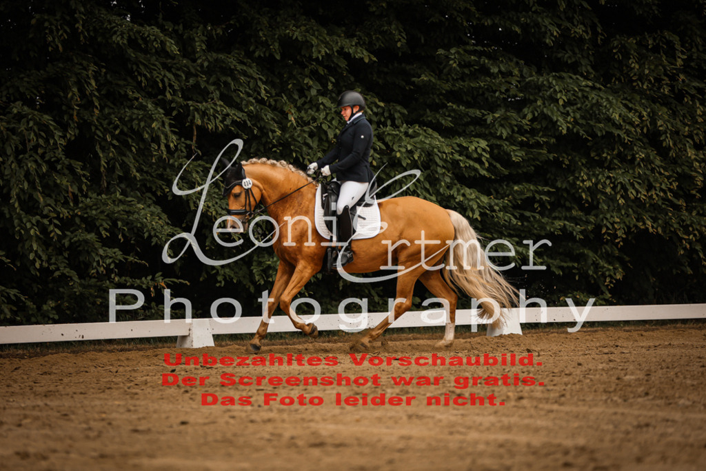 DoDrA00152 | Leoni Ertmer Photography - Realisiert mit Pictrs.com