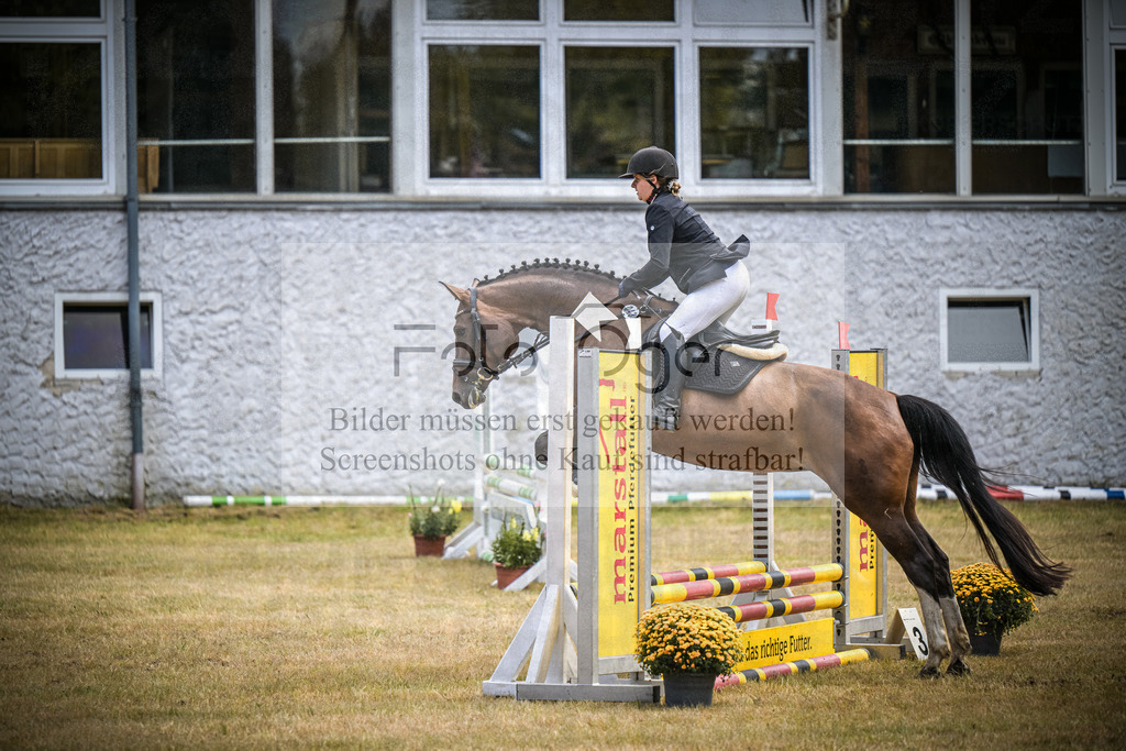 DOS_0099 | Entdecke hochwertige Reitturnierfotos von Foto Oger. Professionell, emotional und authentisch – jetzt Lieblingsmomente im Shop bestellen.Deutschlandweite Turnierfotografie. - Realisiert mit Pictrs.com