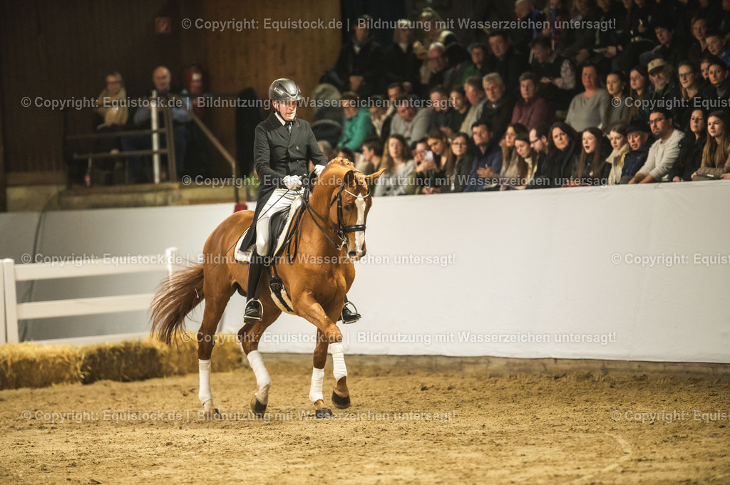 20240302_Hengstvorstellung_Marbach_TOMsPiC_0947-2 | equistock